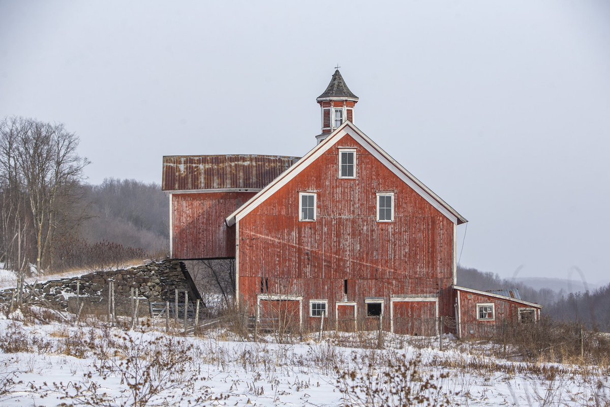 Robert Franklin tweet media