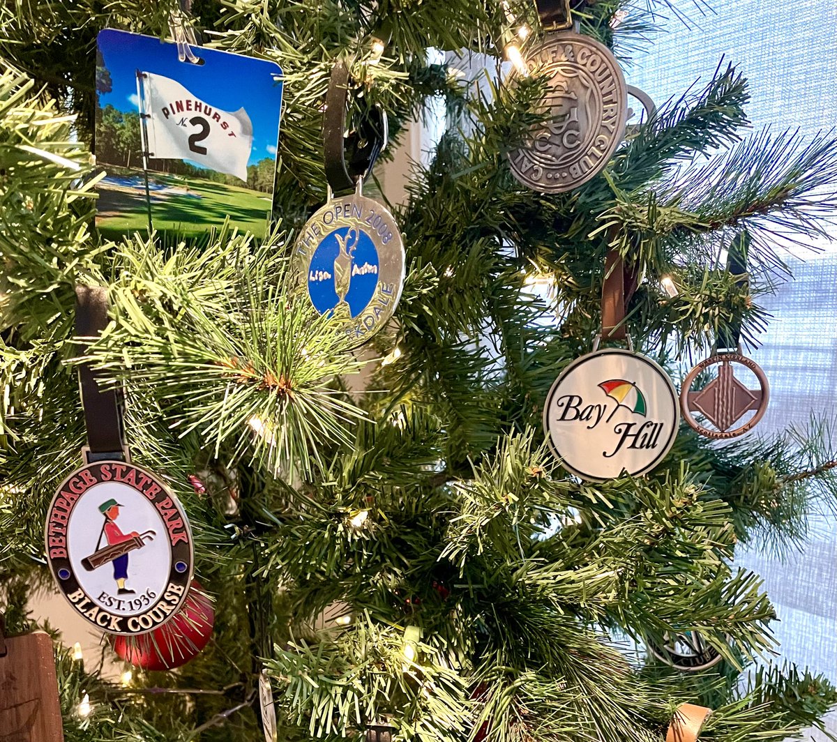 Lisa Longball tweet media