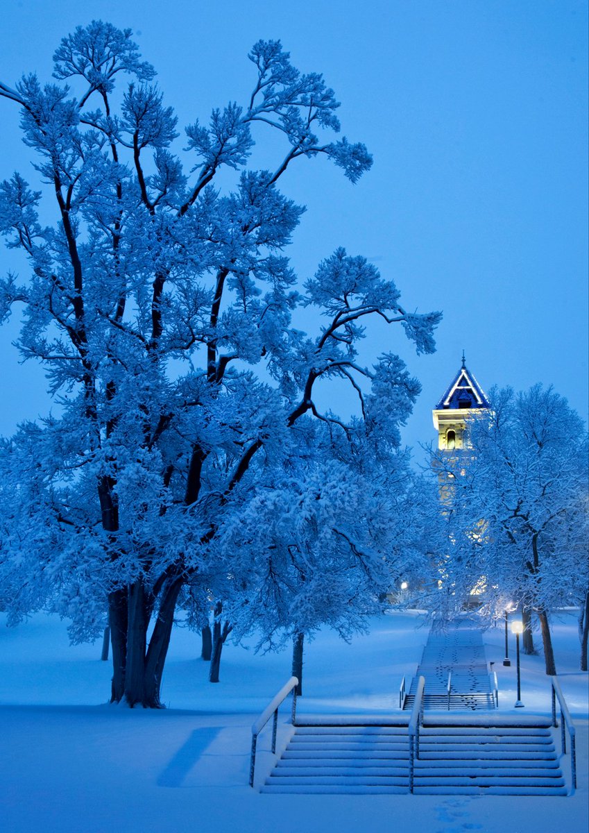 All is calm, all is bright. ❄️🎄