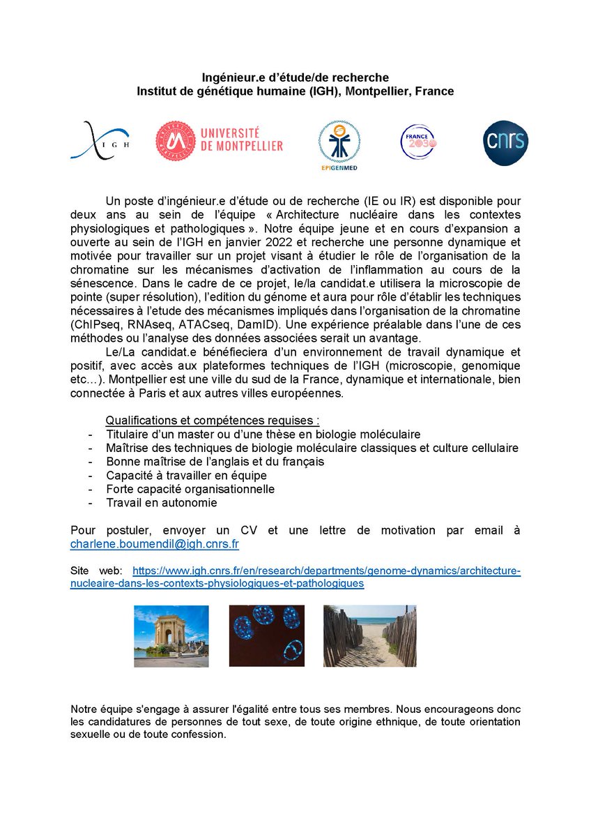 IGH_MTP's tweet photo. At @IGH_MTP @CNRS_OccitaniE @umontpellier Charlène Boumendil's lab is looking for a research assistant (IE/IR) to join the lab from January/February for 2 years. https://t.co/sIvfX2o9bN