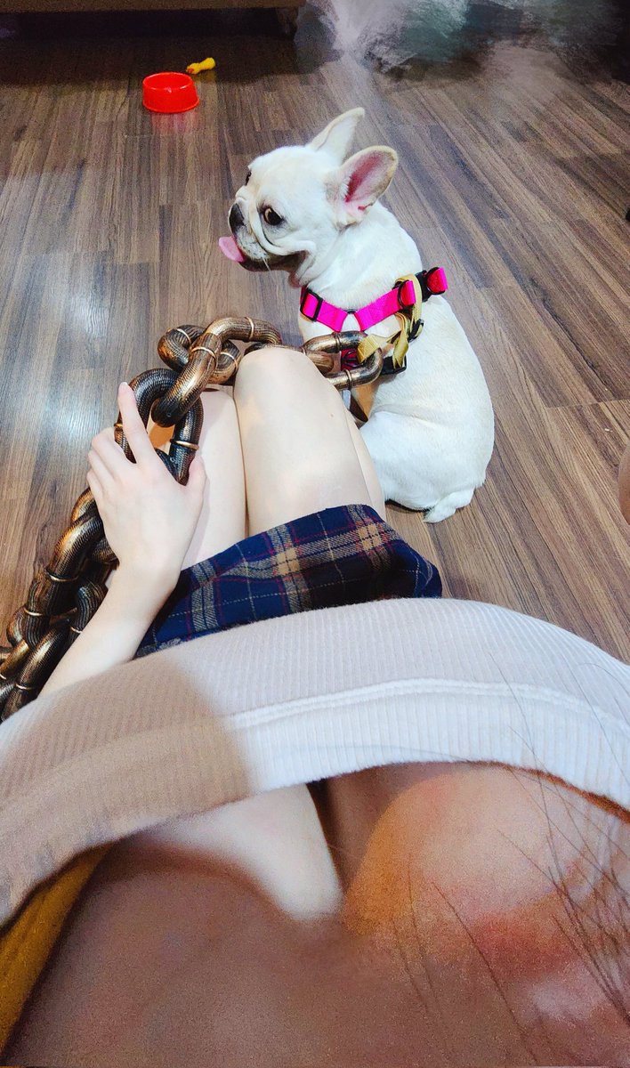 testing out new 🐶chain 
🌚🌚🌚 https://t.co/snUuNuCi07