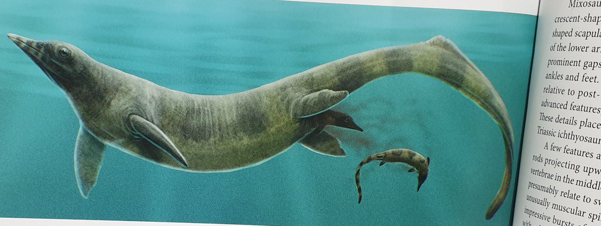 TetZoo's tweet photo. .... and several images by the amazing (and gosh darn prolific) Gabriel Ugueto @SerpenIllus #paleoart #palaeoart #books #AncientSeaReptiles https://t.co/fsH4csDeLL