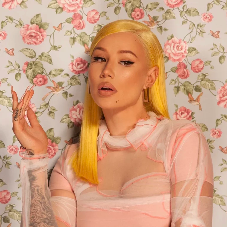IGGY CHARTS tweet media