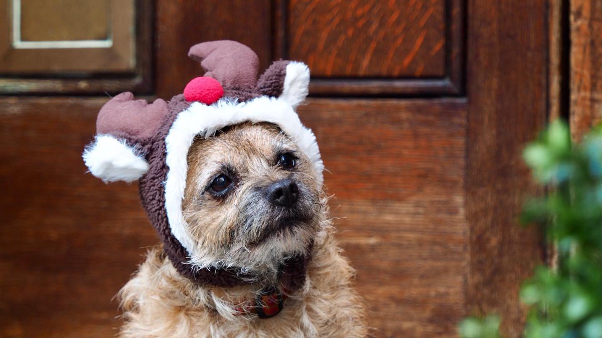 Keep Pedalling tweet media