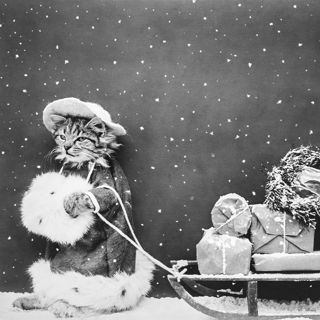 Marble & Match tweet media