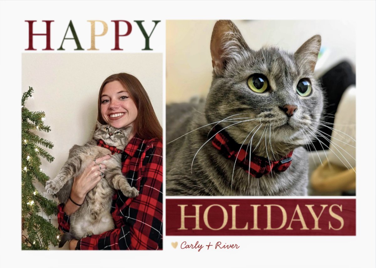 Wish I could have mailed everyone a card, but happy holidays from my chonky girl &amp; I 🎄♥️