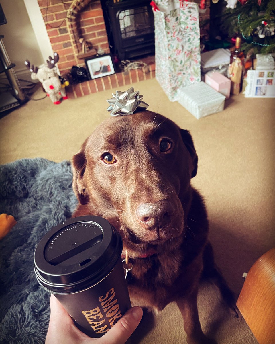 lost amongst the trees tweet media