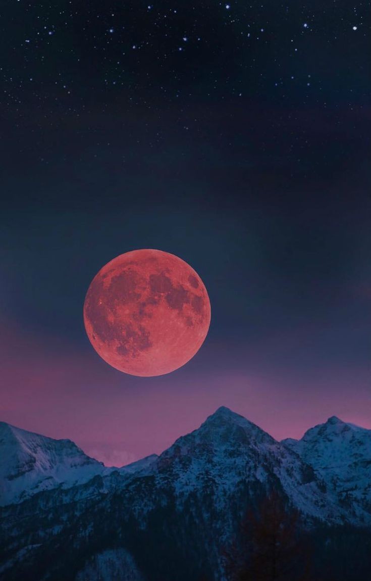 abhinavdabburi's tweet photo. MOON BREATHING to cool your body.
Breathing through the left nostril only, for 5 to 10 minutes, will help to
reduce #pitta
This is called the #Moon Breath and is said to be cooling; breathing through the right nostril is called the #lSun Breath and is heating.)
1/2
#skin #yoga https://t.co/zjpkfKWnev