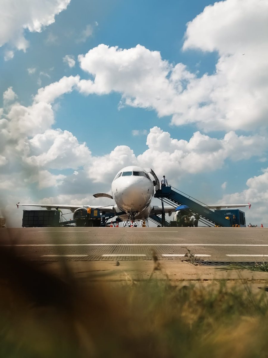 ✈️ 𝑄𝑢𝑒𝑒𝑛 𝑀𝑎𝑦𝑎 🍁 11✨11 ❤️⚜️❤️ tweet media