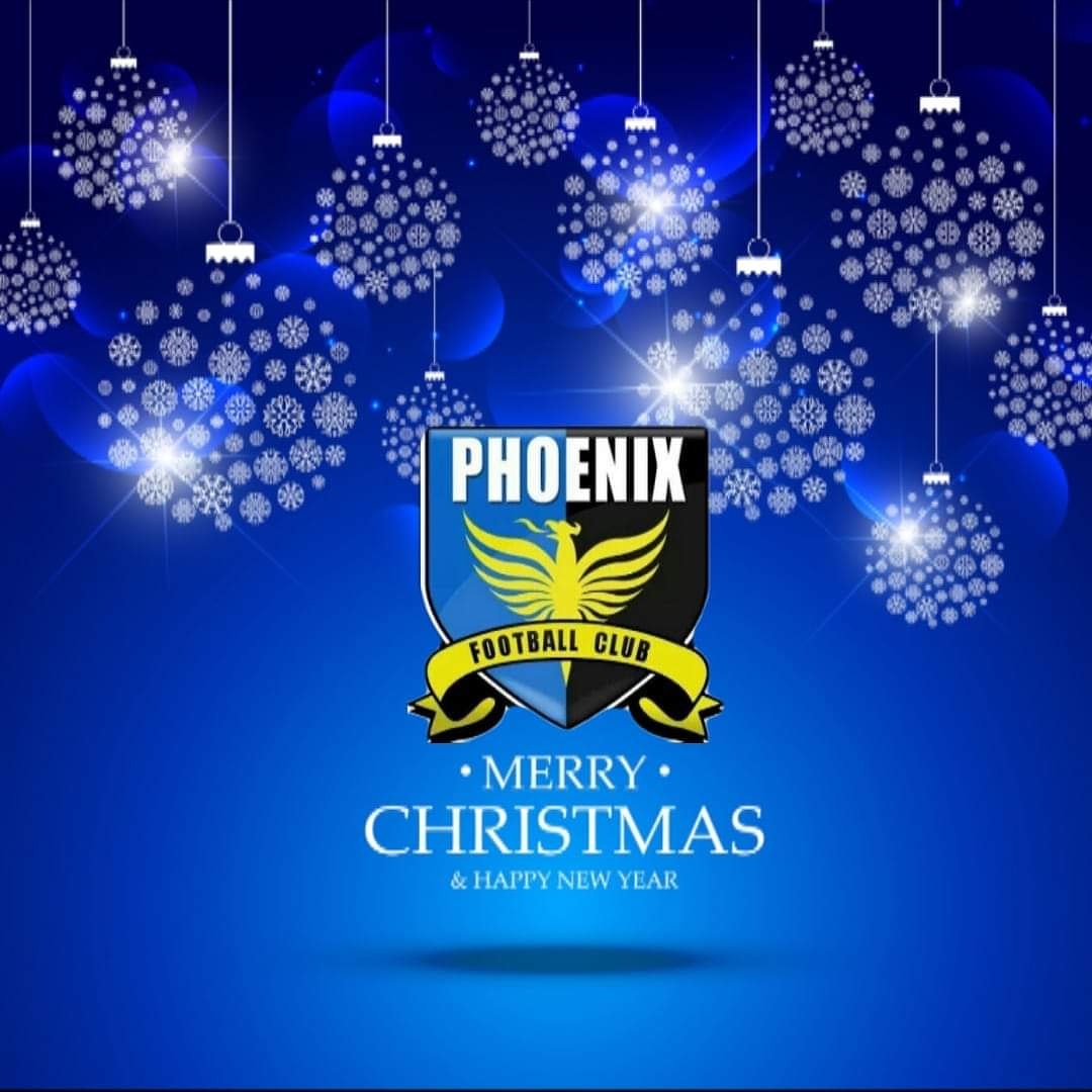 PhoenixFCDublin's tweet photo. We'd like to wish all our players, coaches, parents, opponents and referees a very Merry Christmas and a Happy New Year
#PFC
#TheNix
#MerryChristmas🎄
#HappyNewYear
⚫️🔵⚽️🎅🎄 https://t.co/jXMaSAux0d
