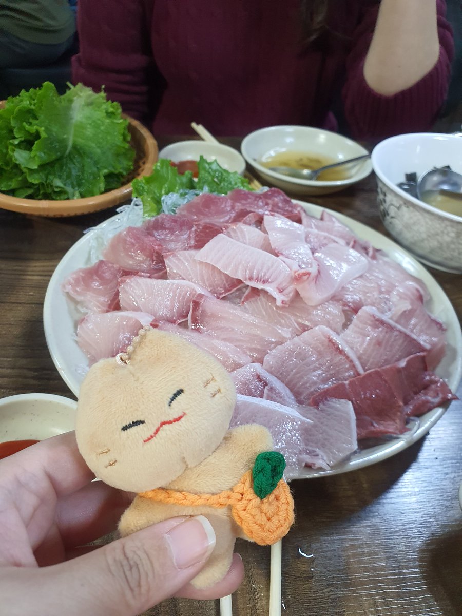foxfoxho125's tweet photo. 잊냥이 데리구 첫 외출 😆 https://t.co/axLynRLRYt