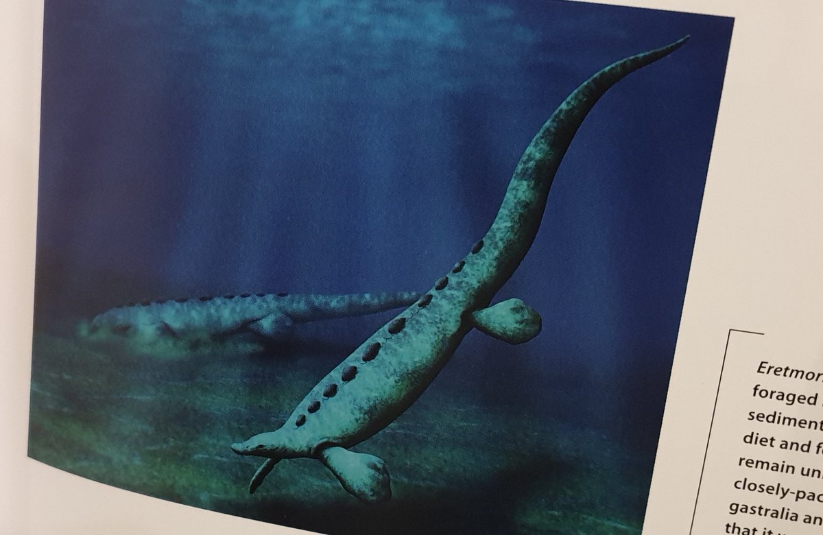 TetZoo's tweet photo. Finally, #AncientSeaReptiles includes art from 'rising stars' in the #palaeoart world: young people doing amazing work, and who we'll see a lot more of in coming years. They include @JoschuaKnuppe and @fishboy86164577, plus the cover art is by the excellent @HJ_arts02 #books https://t.co/CKXbvNTVxC