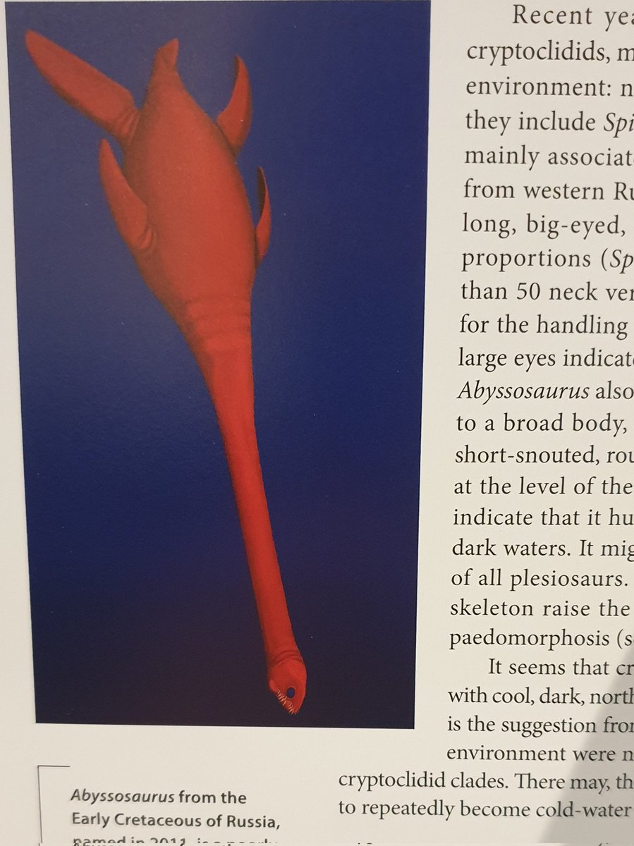 TetZoo's tweet photo. Finally, #AncientSeaReptiles includes art from 'rising stars' in the #palaeoart world: young people doing amazing work, and who we'll see a lot more of in coming years. They include @JoschuaKnuppe and @fishboy86164577, plus the cover art is by the excellent @HJ_arts02 #books https://t.co/CKXbvNTVxC