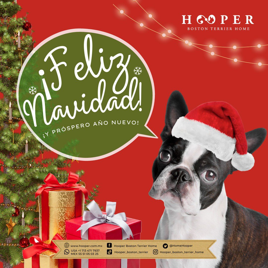 HomeHooper's tweet photo. La familia Hooper te desea felices fiestas cerca de tu familia, disfrutando a la vez de esos amigos peludos que llenan el
Hogar de amor y alegría! Gracias por formar parte de nuestra familia! #Hooper #BostonTerrier #DogLove #BestFriends #NavidadHooper #FelizAño2023 https://t.co/mZ9k8pgDAs