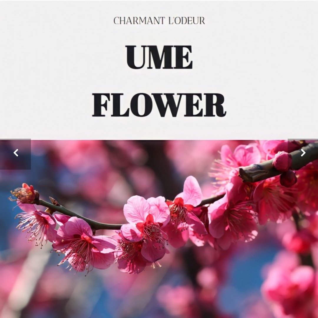 RT💙한유현 생일을 맞아 알티 하신 분 중 한분께 보내드려요💙💙 2022년 유현절💙💙 유현아 올해도 형과 함께 행복하게 지내길 빈다!!!
한유현 생일 축하해!!!
💙내스급 연재 500화 이상 혹은 단행본17권이상 소장 인증 받습니다
💙발송을 위한 주소와 연락처 필요합니다!