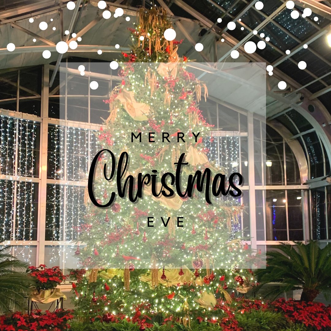 Christmas magic is in the air!❄️Merry everything and happy always!✨