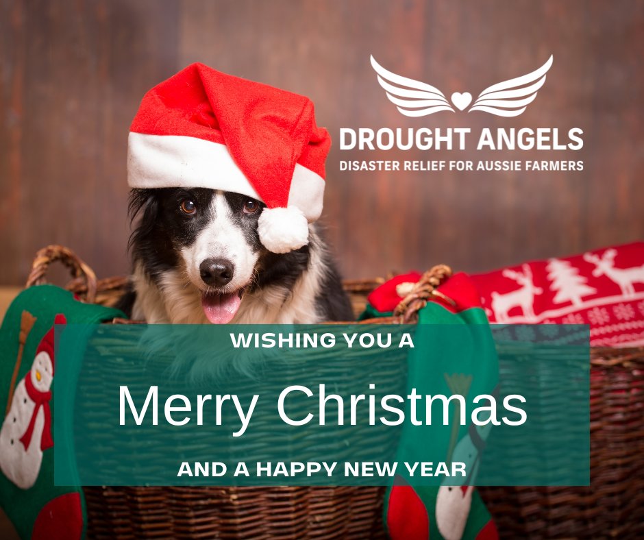 Drought Angels tweet media