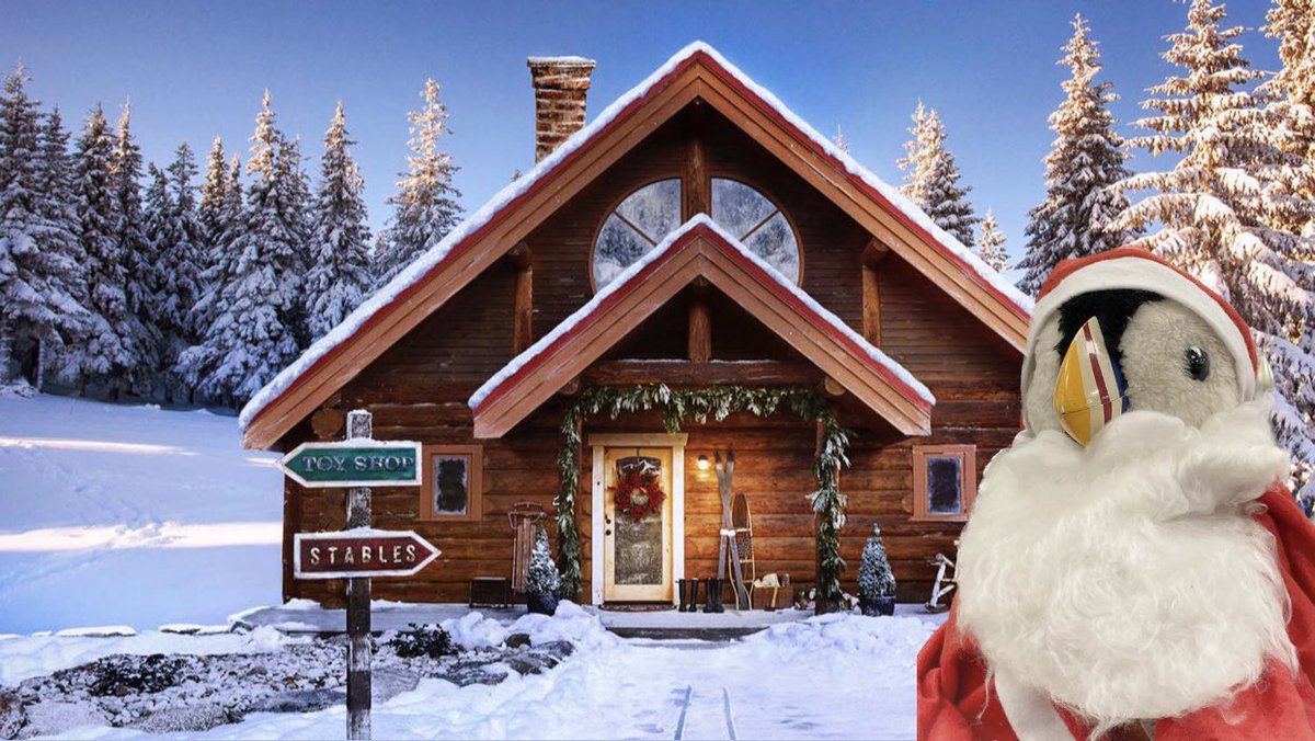 OscarPuffin's tweet image. Merry Christmas one and all - hope your festive season is filled with love, kindness and plenty of fish 🐟 

I’m still hard at work with all the puffin elves in the run up to this evening 🎅🏼🎄