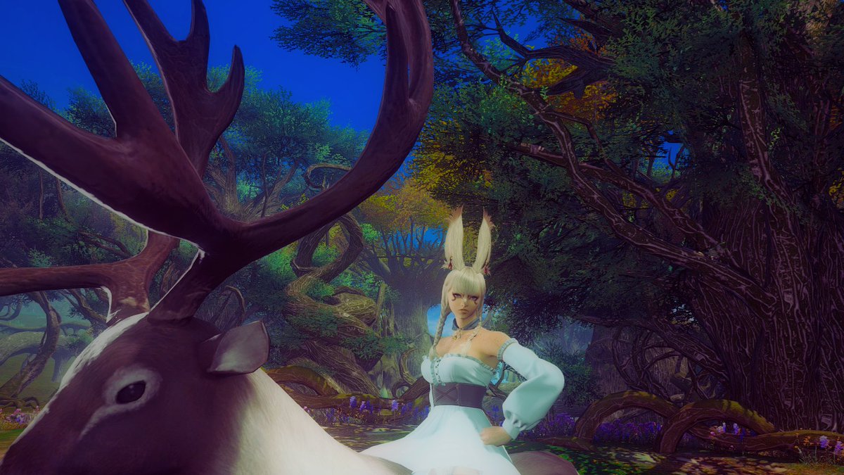 GaleofStars's tweet photo. Been a while ain't it? My fuzzy friend and I decided to go out for a walk. #GPOSERS https://t.co/ANhEXGoZwb