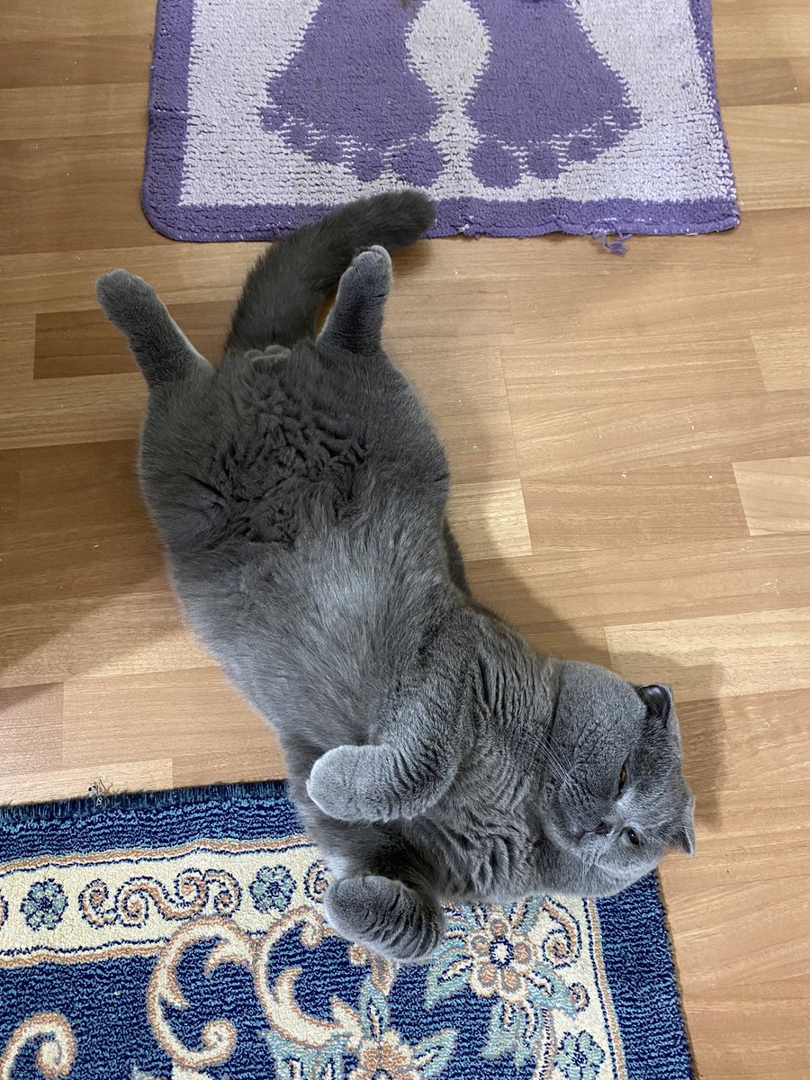 hmkurac's tweet photo. Sıktın bee kardeşim bu kadar da ilgi gösterilmez ki 😏😅 https://t.co/buPT2WJWMs