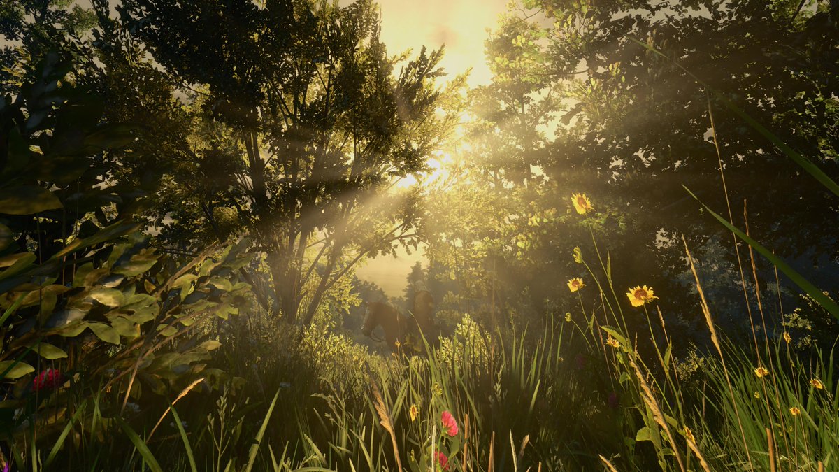 NetinhoLima4's tweet photo. #PS5Share, #TheWitcher3WildHuntCompleteEdition https://t.co/rMGBVPQoPN