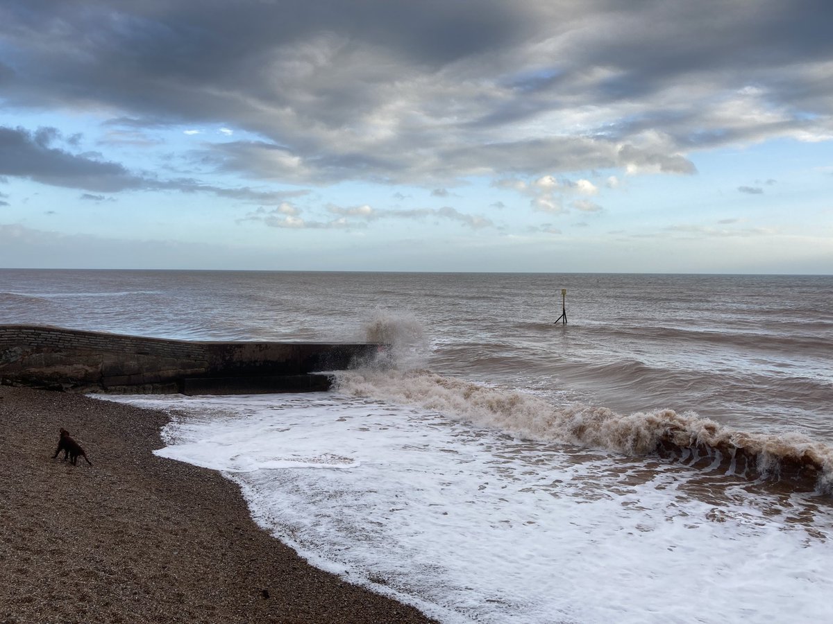 Devon Denizen tweet media