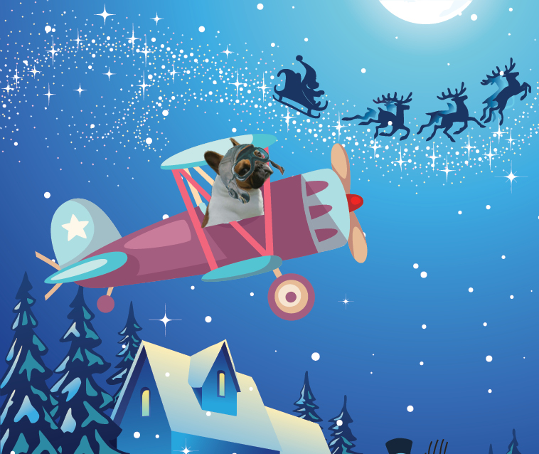 PulaskiJournal's tweet photo. Francis (Frankie) will be scanning the skies for reindeer tonight! https://t.co/1NJDUP9ZtI