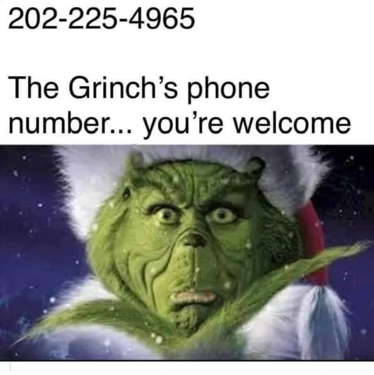 beesandbrews's tweet photo. Do yourself a favor and spread some Christmas cheer. Call the Grinch. #MerryChristmas #Grinchmas #Grinch https://t.co/s1wtjqvCHm