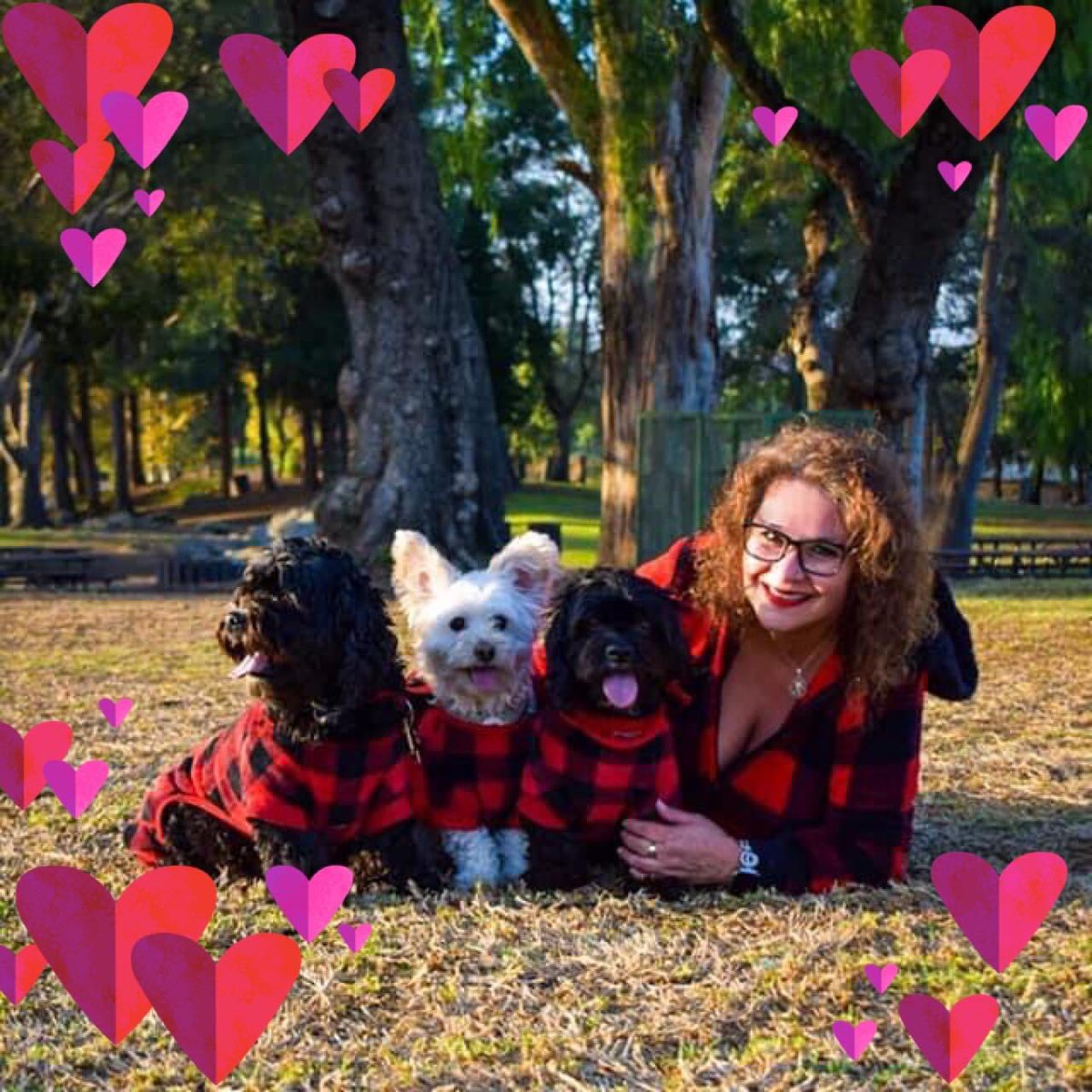 SimiAutoimmune's tweet photo. Happy Christmas Eve from me &amp; my babies 
#ChristmasEve #PupsOfTwitter #ChristmasPuppies #MissingMyLuigi #CBSLA #Furbabies https://t.co/N5W2wakiRx