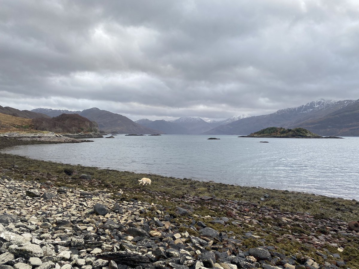 One of the Family tweet media