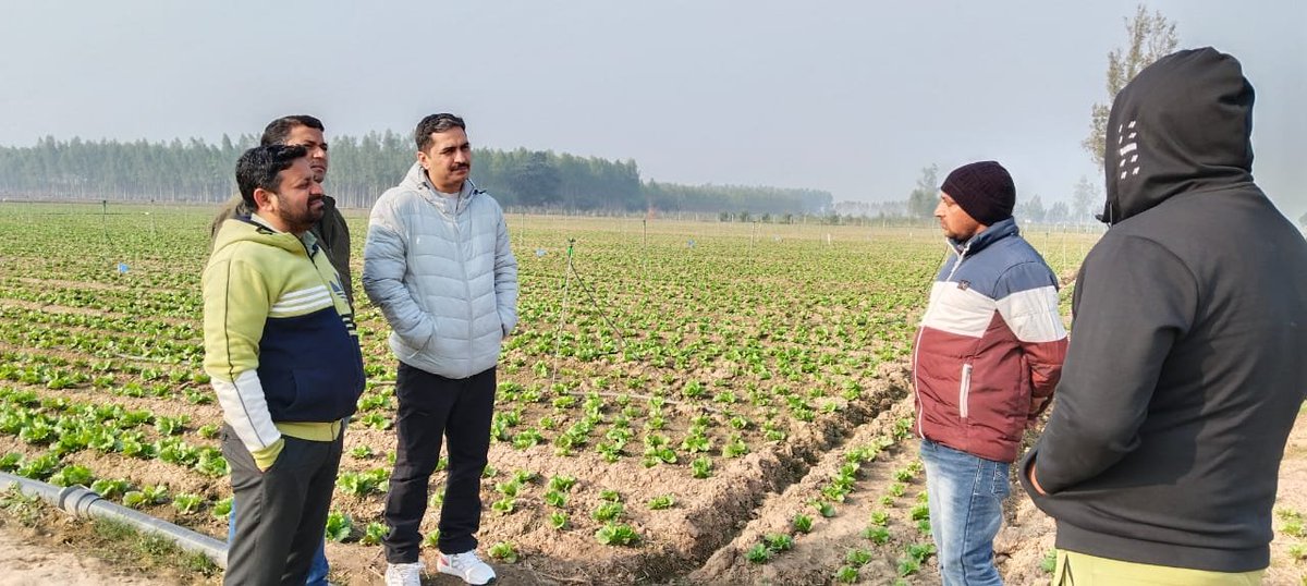 NimbusPipesLtd's tweet photo. Director #MICADA, Haryana along with team visited #AmarAgro Farm, Shahabad where 100 acre iceberg being cultivated with #Nimbus #RainstormMiniSprinkler #PDMC #microirrigation #agriculture #sustainability #Haryana #Punjab #HimachalPradesh #TamilNadu @PravinLath @SushilK83 https://t.co/i8EtjIRWfg