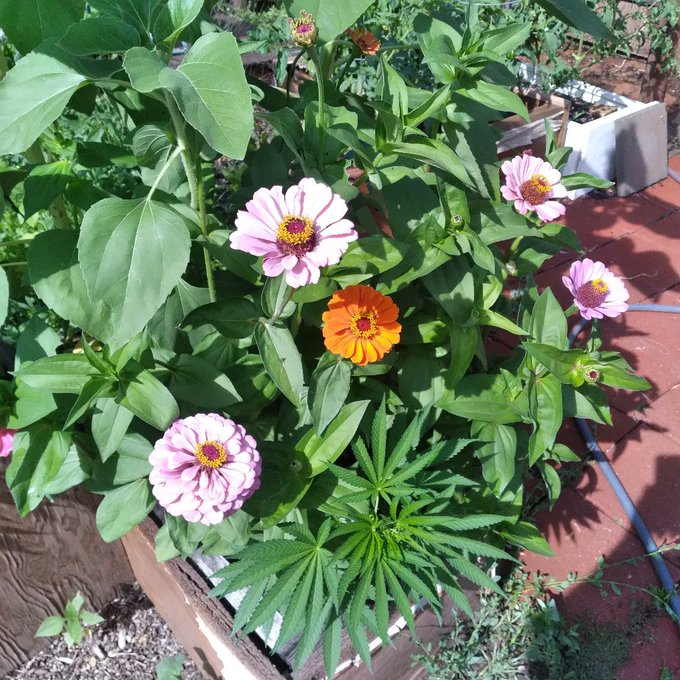 Mugtoe’s pics and videos