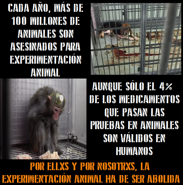 StopCamarles's tweet image. No habrá paz ni descanso mientras la vida de otros animales tenga precio.
Por los animales humanos y los no humanos, la experimentación animal ha de ser sustituida por ciencia y, los mercenarios por investigadorxs.

#AboliciónVivisección #NoEsCiencia