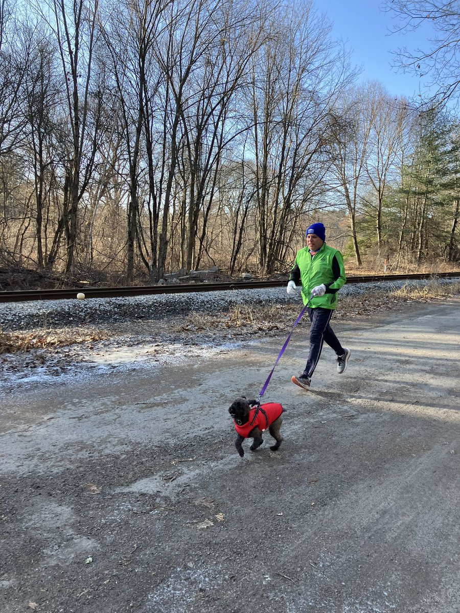 patrickecook's tweet photo. A balmy 9 degrees at the start - with a wind chill of -4 - not enough to deter the #EStreeters from logging their annual #ChristmasEve #run - thankfully, sans the coyotes of #Westford, but with @ChewieCook a coyote in his own mind @AndrewCooker @jpiekos https://t.co/qvQeNerjgK
