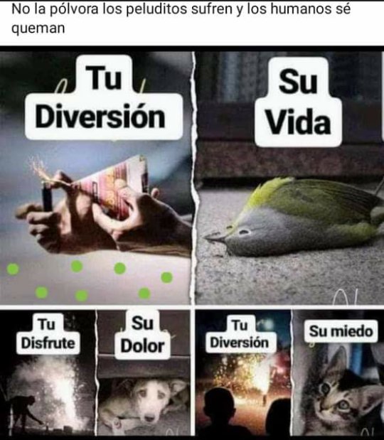 SandyRiCa80's tweet image. Ahí les encargo 
Ellos no tienen la culpa de tu estupidez