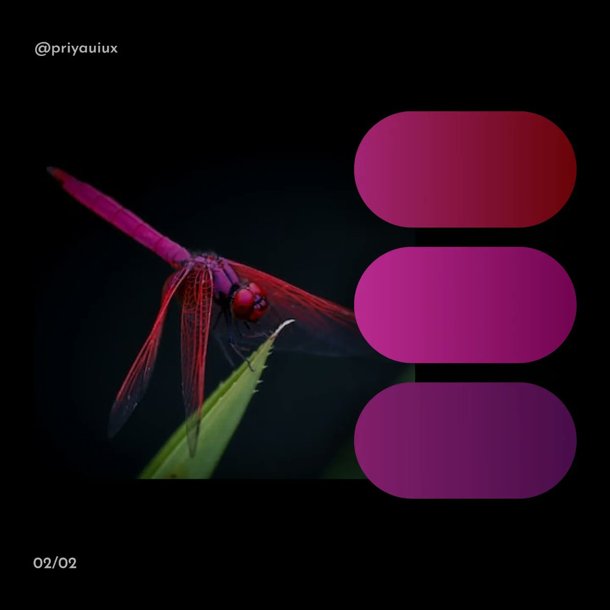 priyase24189240's tweet image. Here are the Megnific Color Gradients that are pulled out from a dragonfly.
Part 1 

#colorgradients #UIUXDesigner #uiux #uiuxdesign #uidesigner #webappdesign #figma #userinterface