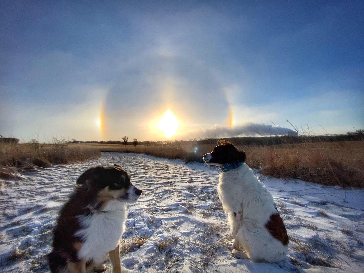 just2dogs's tweet photo. good morning. and merry christmas people. dad took us to find a sun dog this morning. it was amazing. but not a dog. https://t.co/5DMwSdAlHR