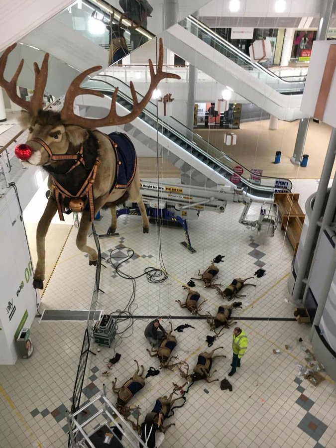 KeithNHumphreys's tweet image. All of the other reindeer
Used to laugh and call his names
So he killed them, he killed them all