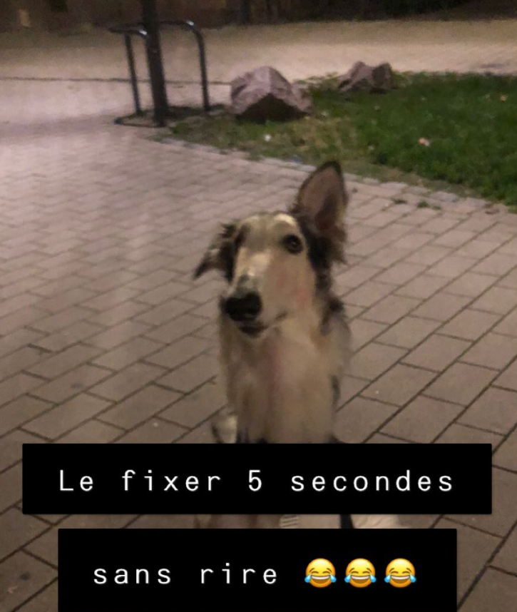 oo_zenk's tweet photo. @RiotGamesFrance #CalendrierAventRiotFR https://t.co/nflY047dBU