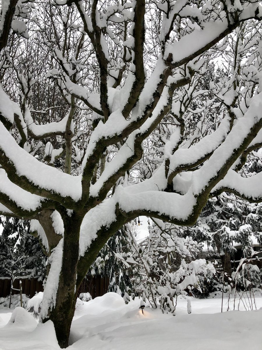 From all of us on the UBC PRE-EMPT team, we wish everyone a joyous holiday season!!  🎄 ❄️ 🎊