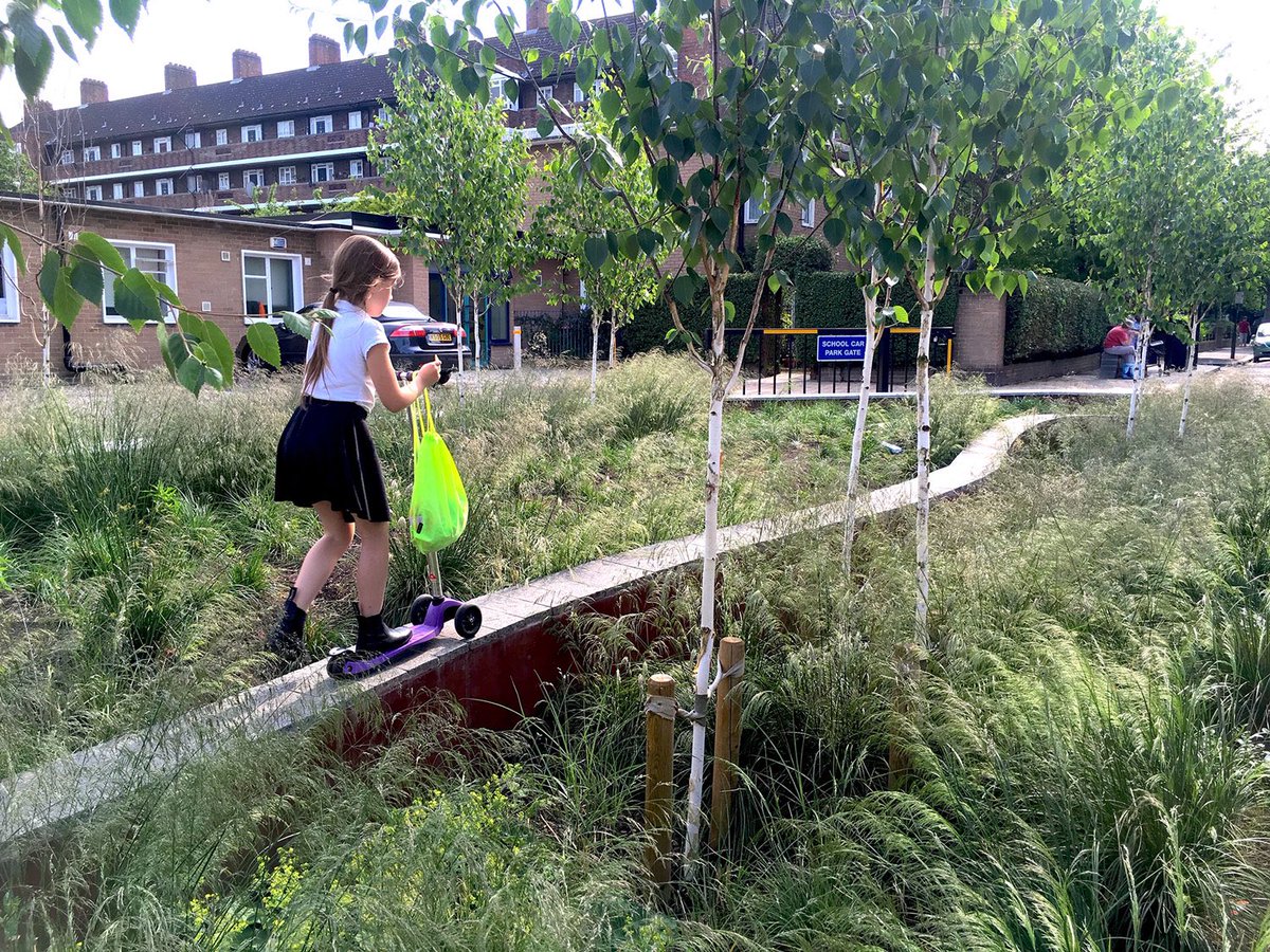 Giulio Ferrini tweet media