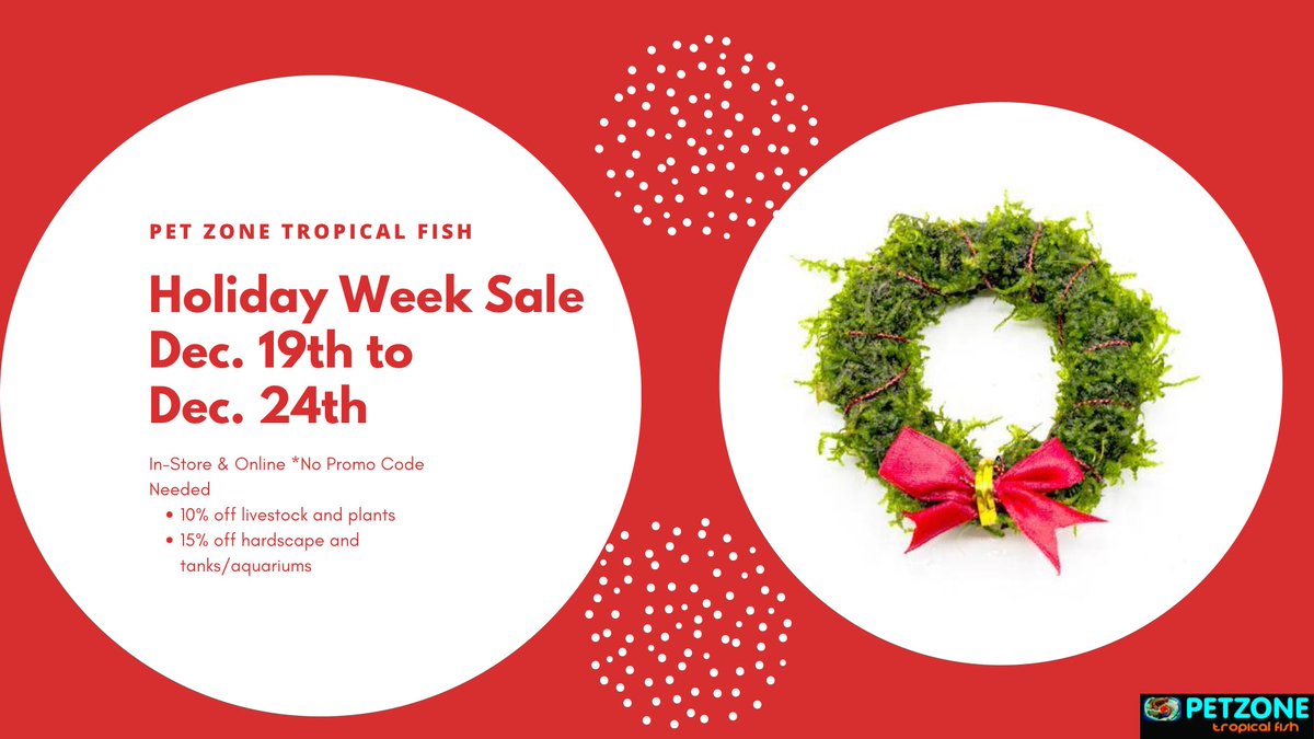 In need of last minute Christmas gifts for your loved ones or yourself? Today is the last day of our holiday week sale, we’re open at both locations with shortened hours for Christmas Eve!