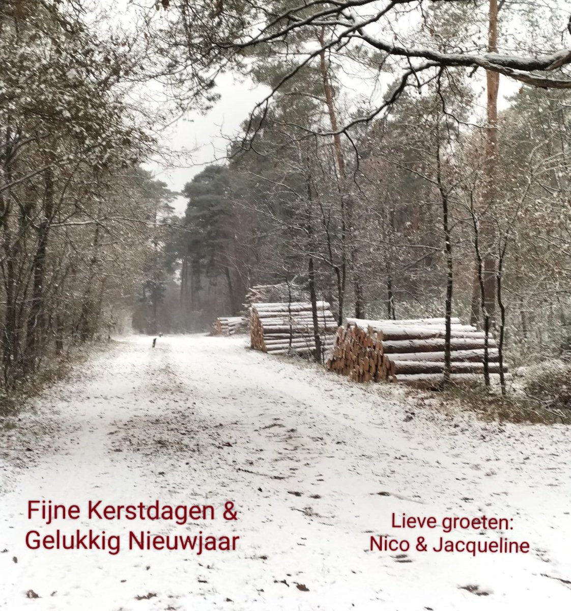 NicoHuizing's tweet image. 