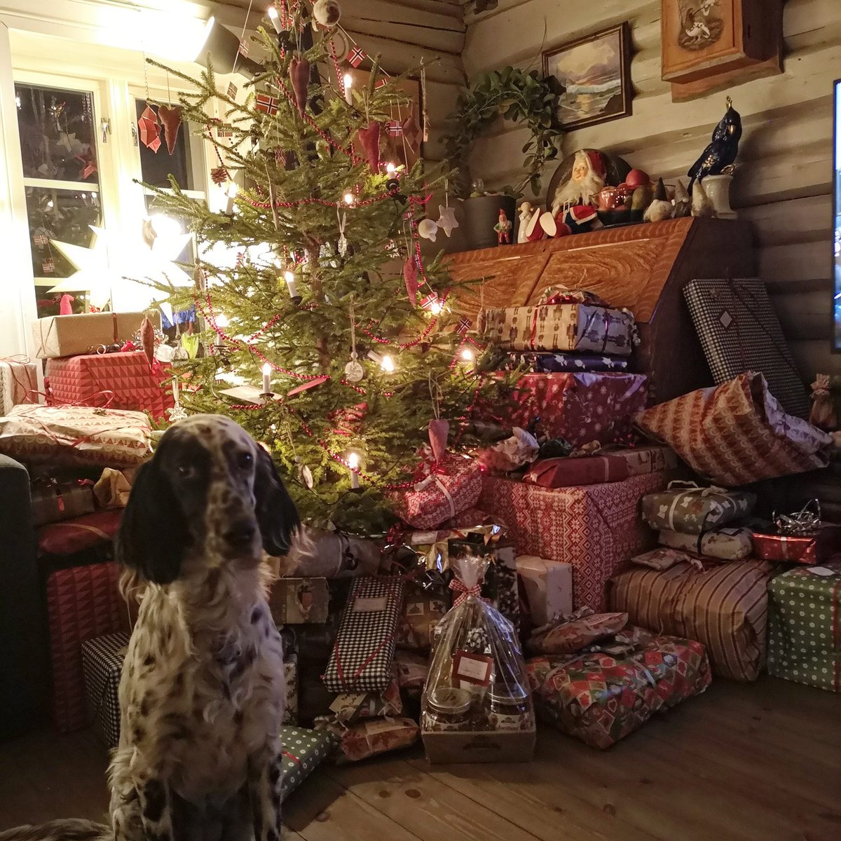 TBSimply's tweet photo. Merry Christmas! 🎄🐺 https://t.co/jNgVRdxhN3