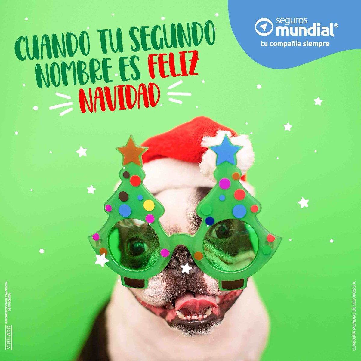 🎄#SituacionesDeNavidad. Lo importante es la actitud navideña al 100%.😀