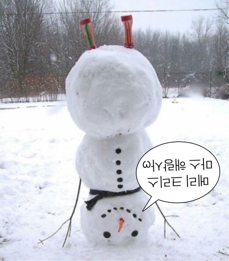 butterfly_1920's tweet photo. 탐라에 계신 모두 메리 크리스마스!! 🎄 https://t.co/LMyLxUFj3V