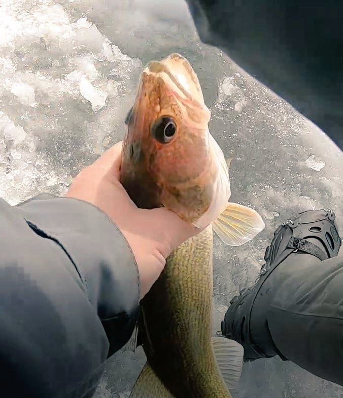 At least I caught enough to feed the Kiddos Crispy Fish! Plus can't complain about a 3 species day. Cheers and enjoy! 

youtu.be/d5RwJACM8I8 <Video 
#fishing #icefishing #FishingLife #fishingaddict #fishy #fishmas