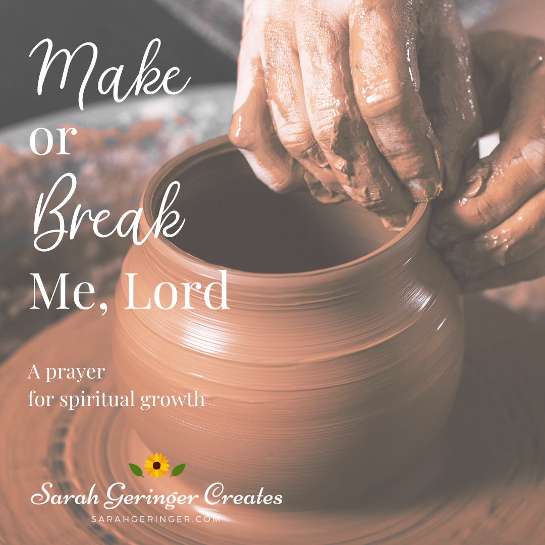 SarahLynneCR's tweet photo. Make or Break Me, Lord, is a powerful prayer for spiritual growth. I'm praying this today, and you can pray this Scripture-based prayer with me. #makeorbreak #prayer #write28days Read here: https://t.co/tOgoYUuGUn via @SarahGeringer https://t.co/veUKCzmCKR