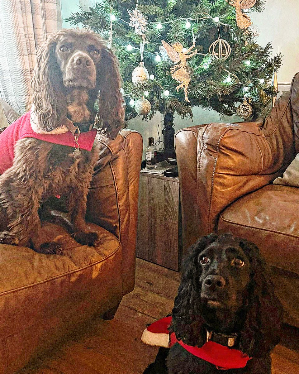 Sarah 💙 tweet media