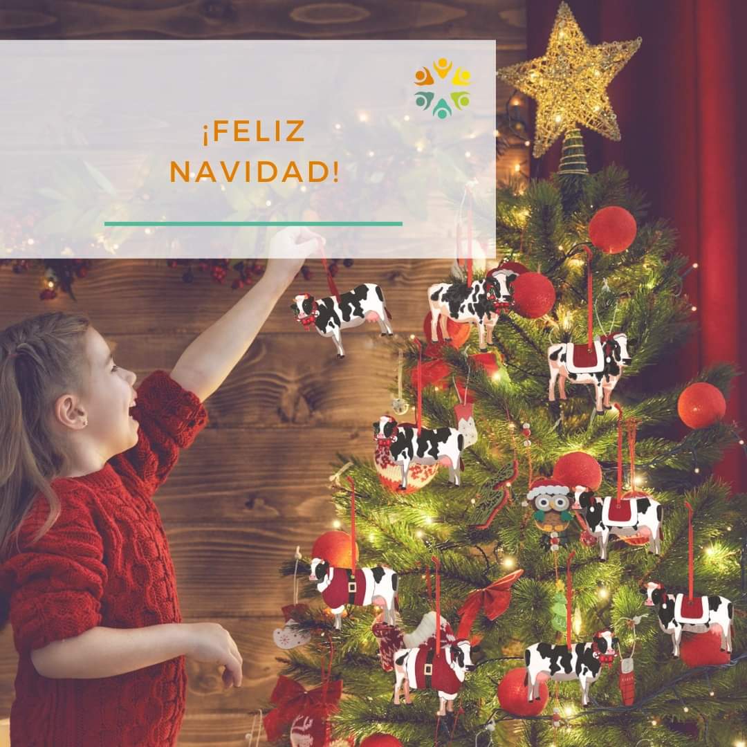 ¡A esta gran comunidad, muy Feliz Navidad! ✨ 

Que estas Fiestas sean momentos de reflexión y encuentro… ¡y traigan prosperidad, alegría y paz a todas las familias tamberas!🎄💛   

#FelizNochebuena #FelizNavidad